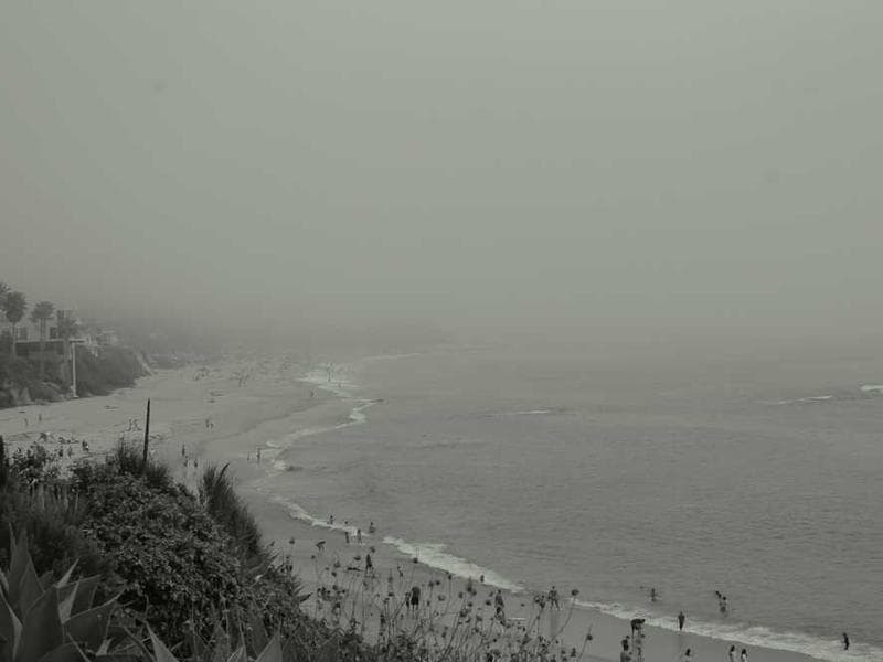 Mobile Logo Design Apps + 6 Free AI Logo Makers